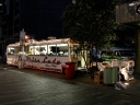 auckland (32)